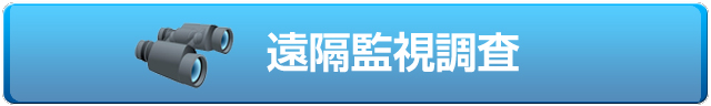 沿革監視調査