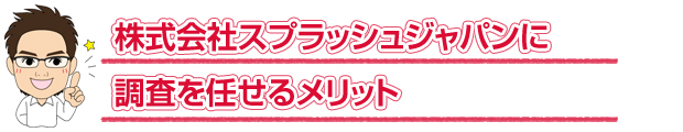 飯田市の調査をスプラッシュに任せるメリット