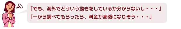 海外調査に不安