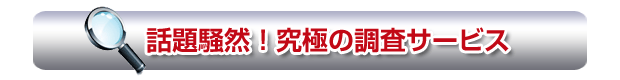 究極の調査サービス